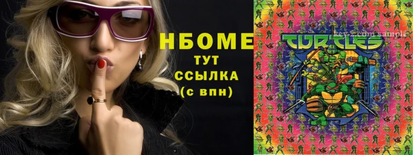 прущий лед Верея